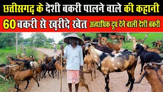 CG के Deshi Bakriपालनेवाला: 60 बकरियों से खरीदे खेत।Success Story: Chhattisgarh Goat Farmers