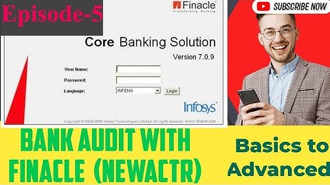 Bank Audit -Finacle-Basic to advanced Ep-5 #concurrent #Statutory audit|NEWACTR| transaction in new