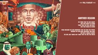 Video thumbnail of "Akala - Another Reason - ( lyric video )"