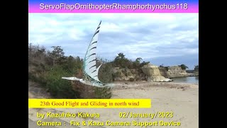 サーボ駆動翼竜型羽ばたき機　ServoFlapOrnithopterRhamphorhynchus118 43g :23th Good Flight and Gliding in north wind