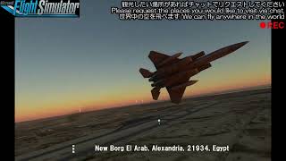 新共和国航空 NRA0252便【Microsoft Flight Simulator 2020】