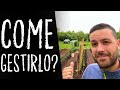 Cosa faccio QUOTIDIANAMENTE nell'ORTO