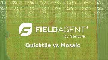 FieldAgent Quicktile vs Mosaic
