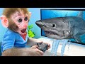 Bon bon plays baby shark game and goes to the toilet with the duckling  baby shark