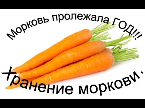 СУПЕР ! Лучший способ хранение моркови год и более. Реальный пример.  (и свеклы) (не по теме канала)