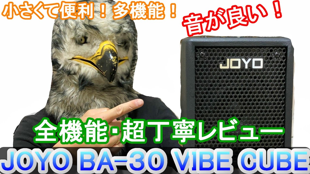 Full Feature Review!] The Compact JOYO BA-30 VIBE CUBE Bass Amp is