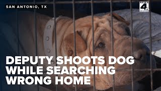Family demands accountability after deputies shoot dog during mistaken welfare check