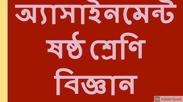 Class 6 Science Assignment || Science || ৬ষ্ঠ শ্রেণির এ্যাসাইনমেন্ট || বিজ্ঞান || Science Assignment