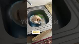 😂🤣😂🤣😅😁😄#gülməlivideolar #maraqlıvideolar#komedivideolar #shortvideo#keşfet #keşvet