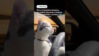 Поехали? 🚘