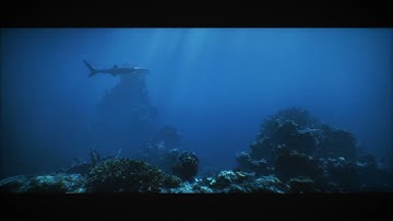 Whale Shark Sequence