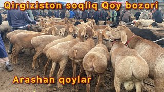 😱👍Qirgiziston soqliq Qoy bozoridan piryamoy vidyo arashan qoylar mazza qiliglar