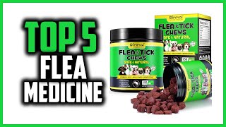 ✅Top 5 Best Flea Medicine for Dogs in 2024