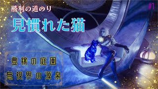 【勝利の道のり】見慣れた猫/スターキャット/第1週【Destiny2】