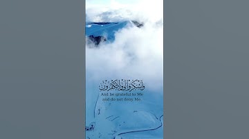 #القارئ #ياسر_الدوسري