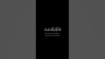 أفلا ينظرون إلى الإبل كيف خلقت  - #فهد_القرني - #كروما #سورة_الغاشية #حالة_واتس