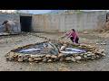 The young girl skillfully stacked stones from the stream to create a unique trap for catching fish.