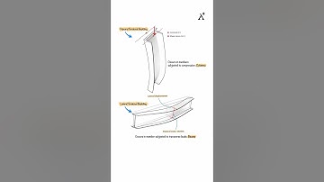 Lateral Torsional Buckling vs Flexural Buckling: Key Differences Explained
