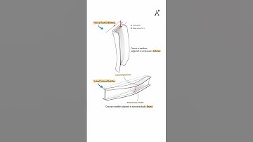 Lateral Torsional Buckling vs Flexural Buckling: Key Differences Explained