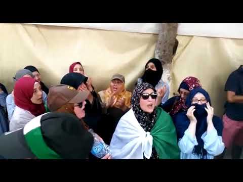 اغنية قولو للقايد Goulou Llgayed 