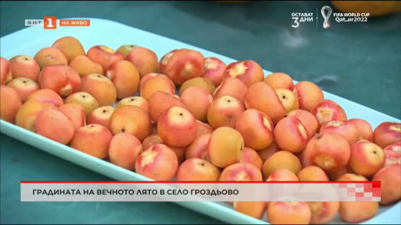 Градината на вечното лято в село Гроздьово