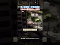 國小駭客事件