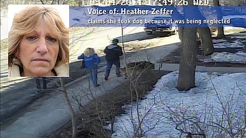 Alleged dog napper says she was trying to help - S...