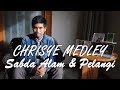 Chrisye Medley - Sabda Alam & Pelangi - Accoustic Cover by Dwinanto Easycapella