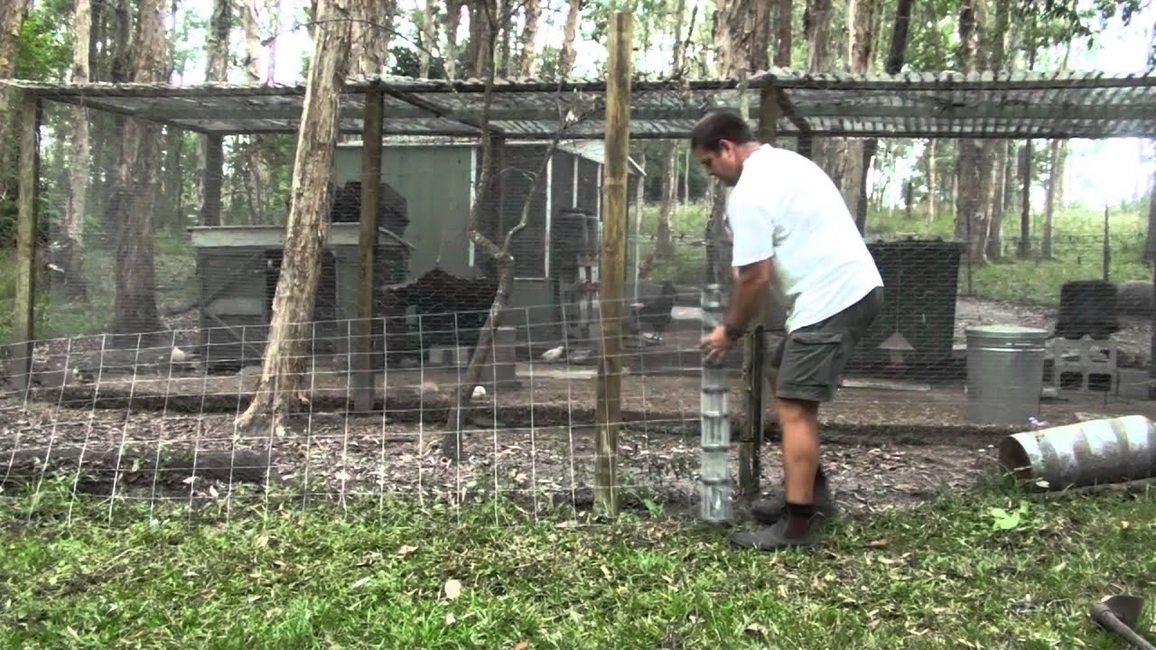 Easy Poor Man's Dog or Fox Proof Fencing for Chicken Pen - YouTube