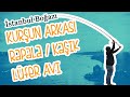 İstanbul Boğazı Kurşun Arkası Rapala / Kaşık Lüfer avı tekniği