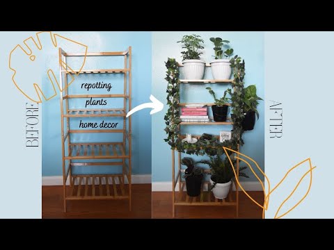Creating a Plant Ladder Shelf 🪴 (planting, home decor) | Room Series #1