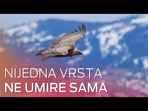 Video: USDA Uklanja Informacije O Dobrobiti životinja Iz Javnog Pristupa