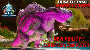 Ark Survival Ascended | How To Tame Morellatops - Scorched earth exclusive/ New ability