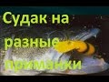 Диалоги о рыбалке -139- Волга, Трехречье, судак на разные приманки