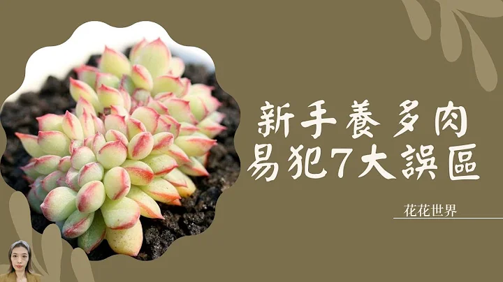 多肉植物养护|新手养多肉植物，易犯“7大误区”，不是你水准不行是你太心急！|花花世界 - 天天要闻