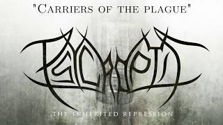 Psycroptic - &quot;Carriers of the plague&quot; (Guitar cover)