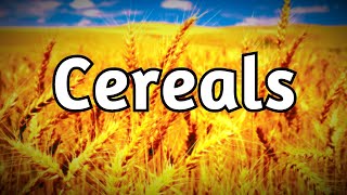 A Brief History of Cereals