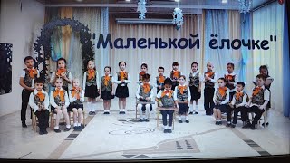 Шумовой оркестр для детей 6-7 лет "Маленькой ёлочке"