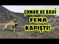 DAĞ GEZİSİNDE OLAY ÇIKTI! KÖPEKLERİM BİRBİRİNE GİRDİ😞 AYIRMAKTA GÜÇLÜK ÇEKTİK!