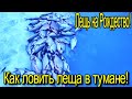 ПЕЧЕНЕЖСКОЕ ВОДОХРАНИЛИЩЕ  ! ВЕТЕРОК ! ПРОСТО СТАИ ЛЕЩА ПОД НАМИ, КАК ВЛИЯЕТ ТУМАН НА КЛЕВ ЛЕЩА?