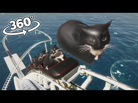 Vr 360 Maxwell The Cat Roller Coaster!