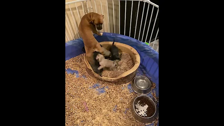 Good Morning Aunty Penny!!