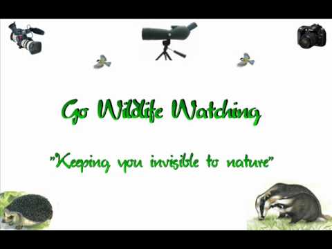 nature kpop Bat calls