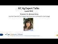 UC Ag Experts Talk: Laurel Wilt Disease