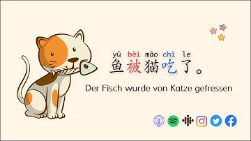 一句中文 Simple Chinese Sentence 68 The 被 sentence HSK3 Standard Course L20