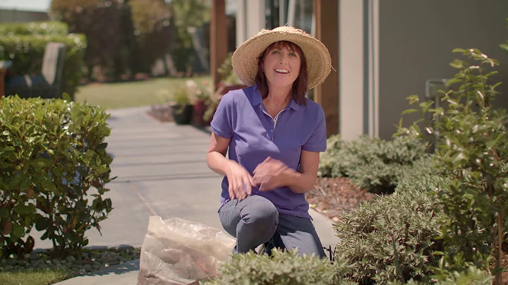 Shelley's Water Saving Tips - Mulch