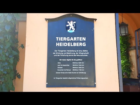 zoo heidelberg, germany trip