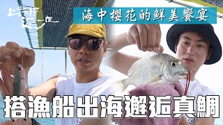 從內垵北漁港出發!搭釣小管漁船出海邂逅真鯛——海中櫻花的鮮美饗宴|上山下海過一夜 精華