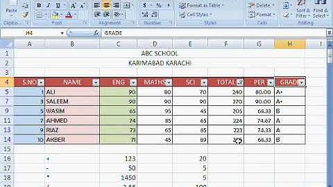 MS Excel Tutorial Urdu or Hindi Part 12