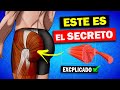 👉 el 𝗘𝗡𝗧𝗥𝗘𝗡𝗔𝗠𝗜𝗘𝗡𝗧𝗢 𝗜𝗗𝗘𝗔𝗟: FUERZA para ser más RESISTENTE CORRIENDO